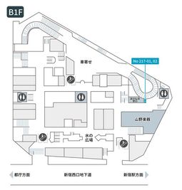 テレキューブ 新宿センタービルB1F 217-01の間取り図