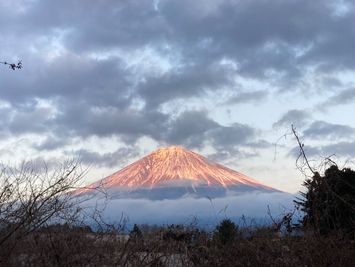 掲載者