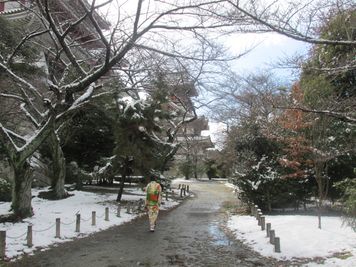 付近の景色：２月の桃山城 - MH Houses 京都玉華苑のその他の写真