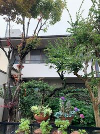 池尻リフレッシュRoom A-10号室の外観の写真