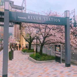 徒歩1分でぶらりお花見🌸散策🚶‍♂️🌸🎶 - Lv5目黒川の室内の写真