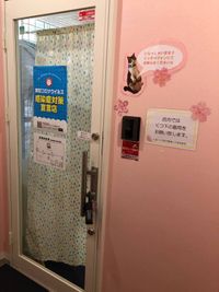 4階の保護猫カフェさんの写真です（右手にお進みください） - レンタルスタジオPiatto越谷 Piatto越谷駅前店の外観の写真