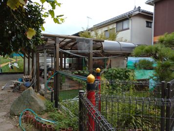 地上の日本庭園を散策できます。 - コウノトリの里の宿 BBQキャンプとパーティー4時間。定員6名の室内の写真