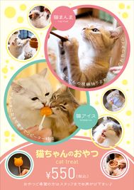 猫ちゃんのおやつを3種類ご用意しております♪ - 猫カフェMOCHA池袋西口店 🐾貸切プラン🐾の設備の写真