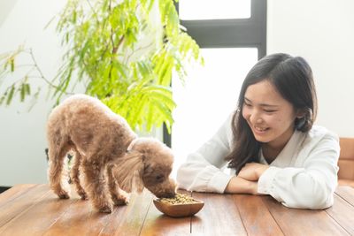 小型犬OK！ - STUDIO △ ROOF 【貸切】２部屋まるごとパック の室内の写真