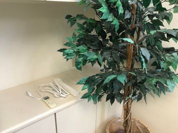 【観葉植物（造花）】 - 【閉店】タイムシェアリング溜池山王ディアシティビル 2部屋使えるハイブリッドスペースの設備の写真