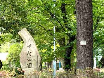 中村公園に隣接しています - 名古屋会議室 日蓮宗 太閤山 常泉寺 客殿+奥の間のその他の写真