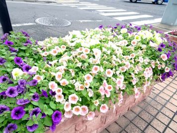 東横INN品川駅高輪口 エコノミーダブルの入口の写真