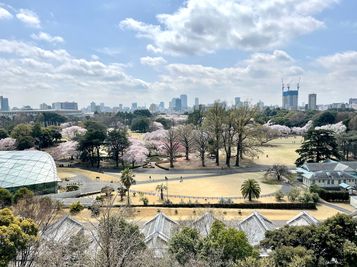 【桜のシーズンの新宿御苑】 - TIME SHARING 新宿御苑前 壱丁目参番館 8Bのその他の写真