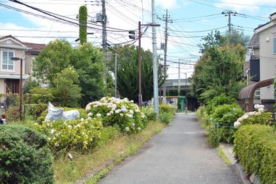 建物前の遊歩道。 - ミモザハウス シェアキッチンの室内の写真