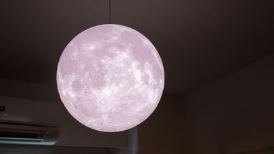 SMILE＋Moon名古屋 キッチン付レンタルスペースの室内の写真