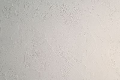 空気清浄効果のあるシラス壁 - Room Therapis　ルームセラピス レンタルサロン（ ルーム E）の室内の写真