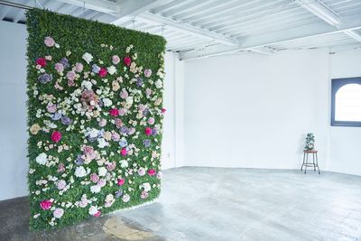 高さ2.6m 幅2mの花壁です。持ち込みのお花を挿して撮影も可能です。 - STUDIO UNION / スタジオユニオンの室内の写真