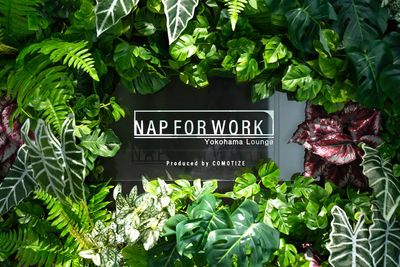 エントランス - NAP FOR WORK（ナップフォーワーク） フォンブース（防音ブース）のみ ※ホワイトのブースですの入口の写真