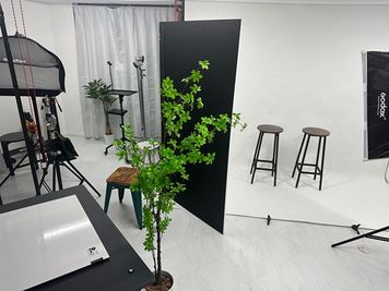 大きなカポックあります - ALOALO Photo studio 町屋 ALOALO Photo Studio 町屋の室内の写真