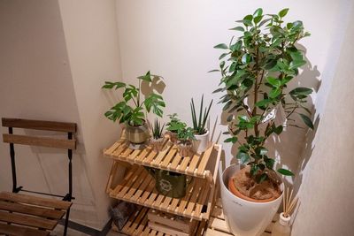 植物 - ワオン・スタジオ 初台 Aスタジオ（グランドピアノ4帖）の室内の写真
