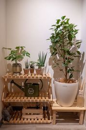 植物 - ワオン・スタジオ 初台 Cスタジオ（シンプル3帖）の室内の写真