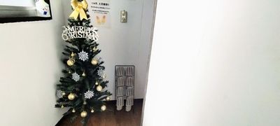 玄関にクリスマスツリーを飾っております✨ - レンタルスペースDeals水前寺 レンタルスペース熊本水前寺の室内の写真