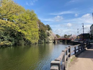 桜と紅葉の名所　高岡古城公園 - レンタルスペース本丸 多目的スペースのその他の写真