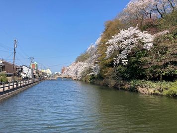 桜と紅葉の名所　高岡古城公園 - レンタルスペース本丸 多目的スペースのその他の写真