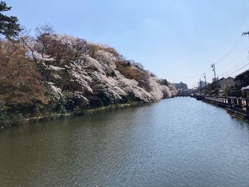 桜と紅葉の名所　高岡古城公園 - レンタルスペース本丸 多目的スペースのその他の写真