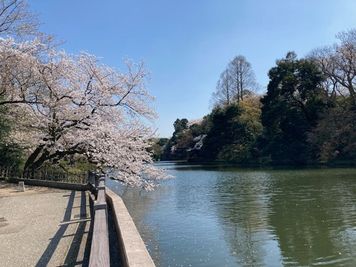 桜と紅葉の名所　高岡古城公園 - レンタルスペース本丸 多目的スペースのその他の写真