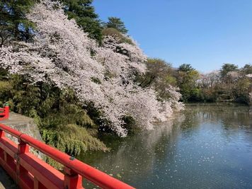 桜と紅葉の名所　高岡古城公園 - レンタルスペース本丸 多目的スペースのその他の写真