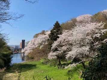 桜と紅葉の名所　高岡古城公園 - レンタルスペース本丸 多目的スペースのその他の写真