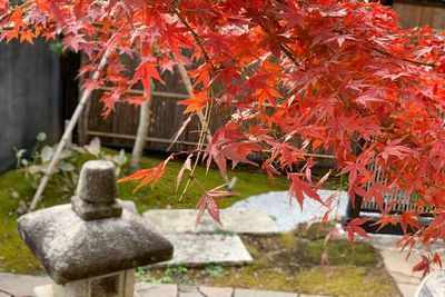 冬前にはお庭の紅葉が紅葉します。 - studio Claudel studio Claudel - 和室 -の室内の写真