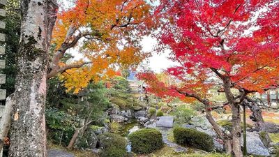 紅葉景色 - 滋賀県高島市・琵琶湖畔・日本庭園・木造建築 高野俱楽部 KOYA CLUBの室内の写真