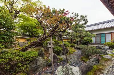 庭景色 - 滋賀県高島市・琵琶湖畔・日本庭園・木造建築 高野俱楽部 KOYA CLUBの室内の写真