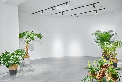 アール白壁 - TAO STUDIO aoyamaの室内の写真