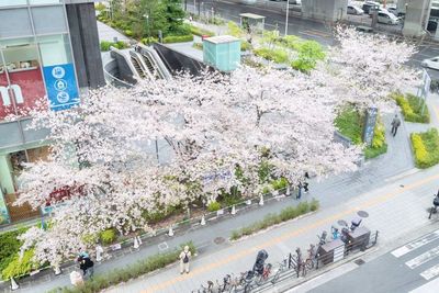 彩place 〜難波〜 Bellu Star 難波(11名〜20名)の室内の写真