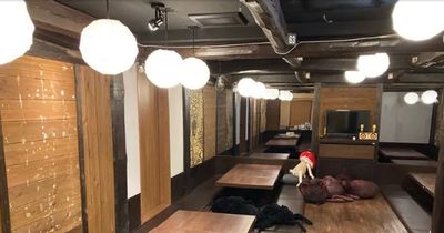 関内駅前セルテのパーティルーム🥂妖怪が出そうな雰囲気👻飲み会にも ママ会にも　利用人数に応じた料金設定！ - NATULUCK関内セルテ