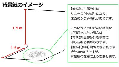 無料背景紙の使用感イメージ - 自然光スタジオ サモスタ恵比寿３号店の設備の写真