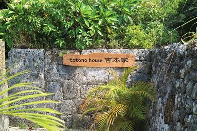 totono house 吉本家 totono house うるまの室内の写真