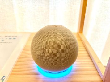 スマートスピーカー設置
お好きな音楽が流せます。 - NS salon 川崎（ノートルスタジオサロンカワサキ） 【川崎駅徒歩5分】完全個室のプライベートサロンの設備の写真