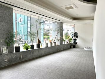 多彩な観葉植物が心地よい癒しの空間を演出します - MAISON STUDIO 展示会やPOPUP・ギャラリーに最適なレンタルスペースの室内の写真