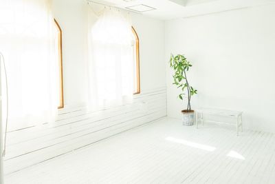 白壁もあるので、どのような撮影もしやすいです。 - フォトスタジオ　アンナデイズ湘南店 フォトスタジオアンナデイズ湘南店の室内の写真