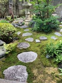 苔庭 - 貸し間「三松荘」（さんしょうそう） 貸し間「三松荘」（かしま　さんしょうそう）のその他の写真