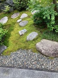 苔庭 - 貸し間「三松荘」（さんしょうそう） 貸し間「三松荘」（かしま　さんしょうそう）のその他の写真