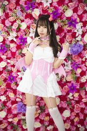 200cm四方の大型花壁を利用した撮影です。 - Photo Studio　LUXE秋葉原の室内の写真