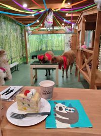 アルパカふれあいランド 🦙アルパカカフェ🦙完全貸切｜神楽坂｜飯田橋｜最大20名OK！の室内の写真