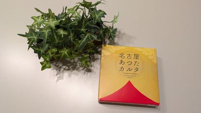 緑のスペースcomodo (金山第１) 金山駅1分🛜光Wi-Fiで会議やボドゲ♠️♥️comodo金山の室内の写真