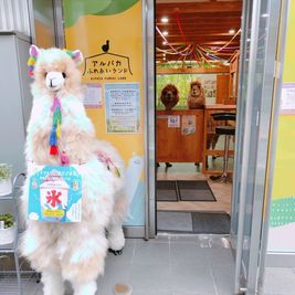 アルパカふれあいランド 🦙アルパカカフェ🦙完全貸切｜神楽坂｜飯田橋｜最大20名OK！の室内の写真