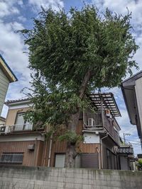 戸建裏の更地 扇大橋駅徒歩10分の更地の室内の写真