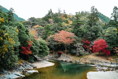 スタジオから徒歩5分ほどのスポットです。季節によって様々な景色が楽しめます。 - マトマニスタジオ マトマニスタジオ／matomani studioのその他の写真