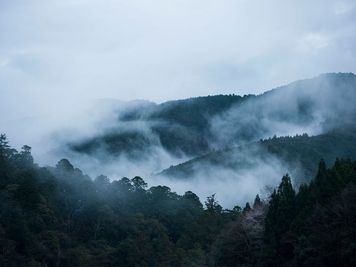 雨の日や朝は靄が出て幻想的な東吉野らしい風景になります。 - マトマニスタジオ マトマニスタジオ／matomani studioのその他の写真