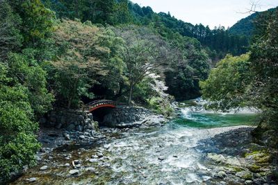 スタジオから徒歩5分ほどのスポットです。３つの川が合流するめずらしい場所、夢淵です。 - マトマニスタジオ マトマニスタジオ／matomani studioのその他の写真