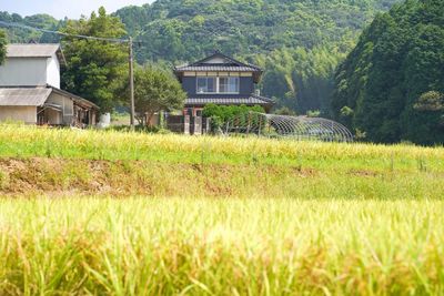 周囲は山々と田畑に囲まれています。 - いいオフィス壱岐の外観の写真